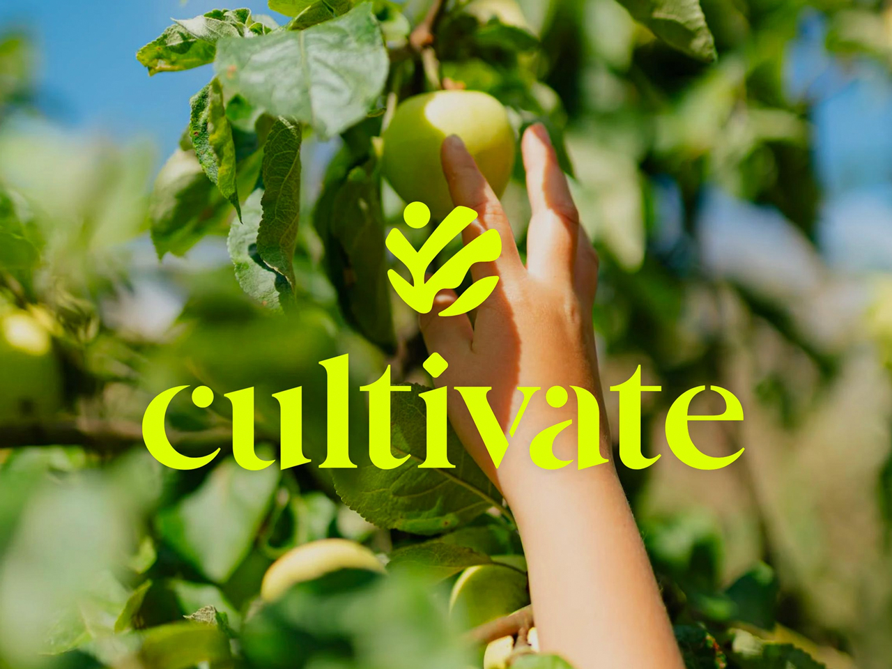 Cultivate